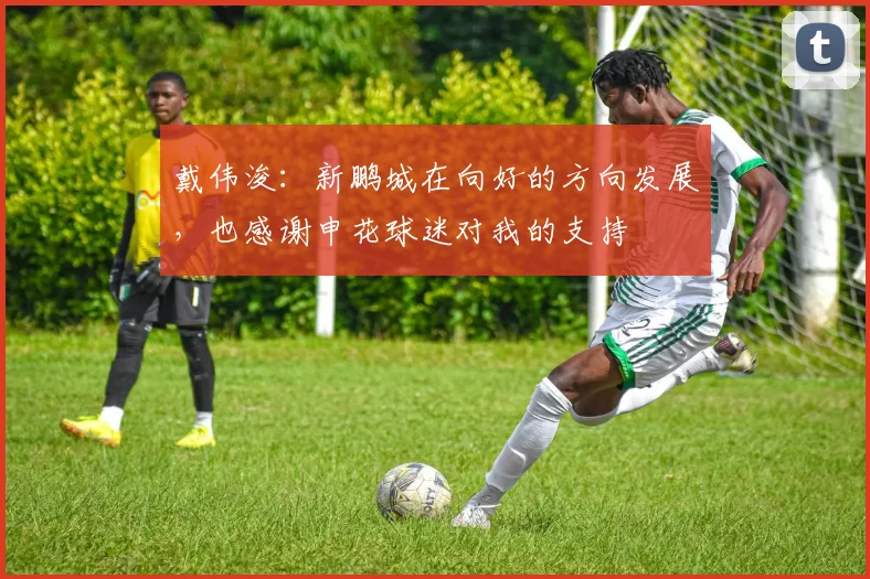 戴伟浚：新鹏城在向好的方向发展，也感谢申花球迷对我的支持