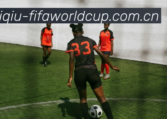 世界杯买球网站发展历程